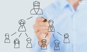 What Is Multi-Level Marketing (MLM), And How Does It Work?