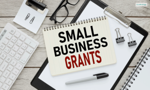What Are Small Business Grants, And How To Get Them?