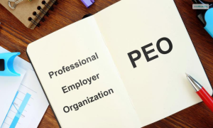 What Is A PEO - Importance, Working, And Pros & Cons