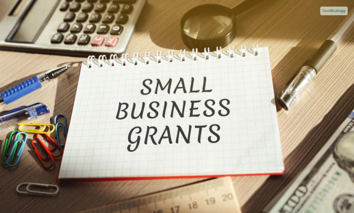 Small Business Grants: What Are They, Working, Types, And More