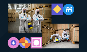 Pest Control Team