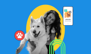 pet sitting business apps